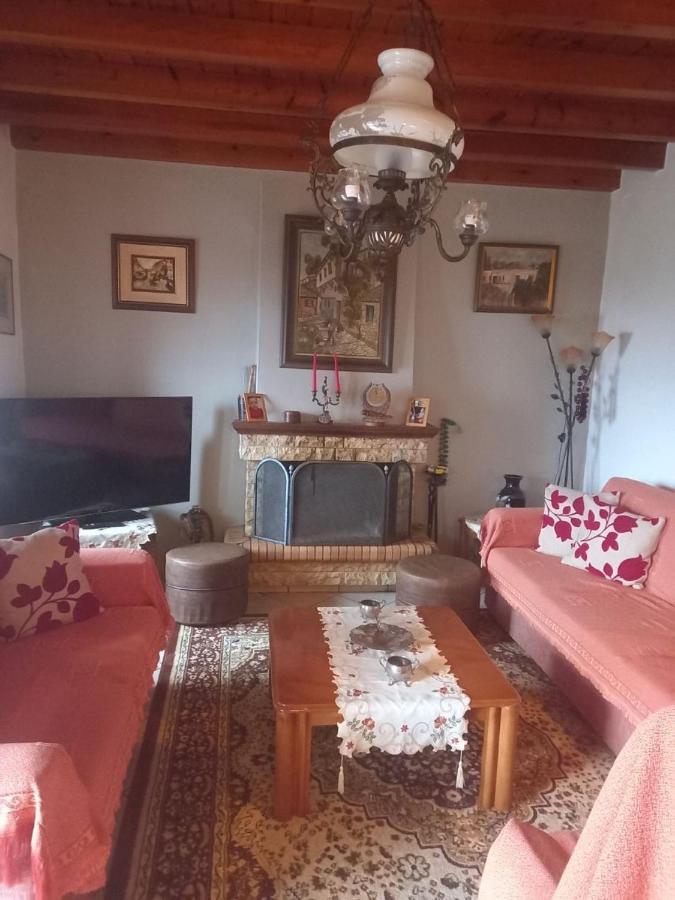 Orizontas Pilio Villa 基索斯 外观 照片
