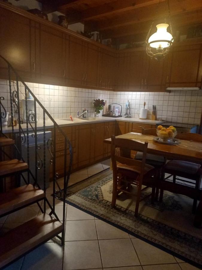 Orizontas Pilio Villa 基索斯 外观 照片