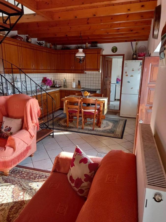 Orizontas Pilio Villa 基索斯 外观 照片