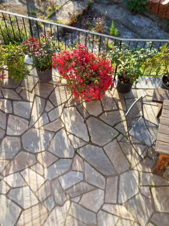 Orizontas Pilio Villa 基索斯 外观 照片