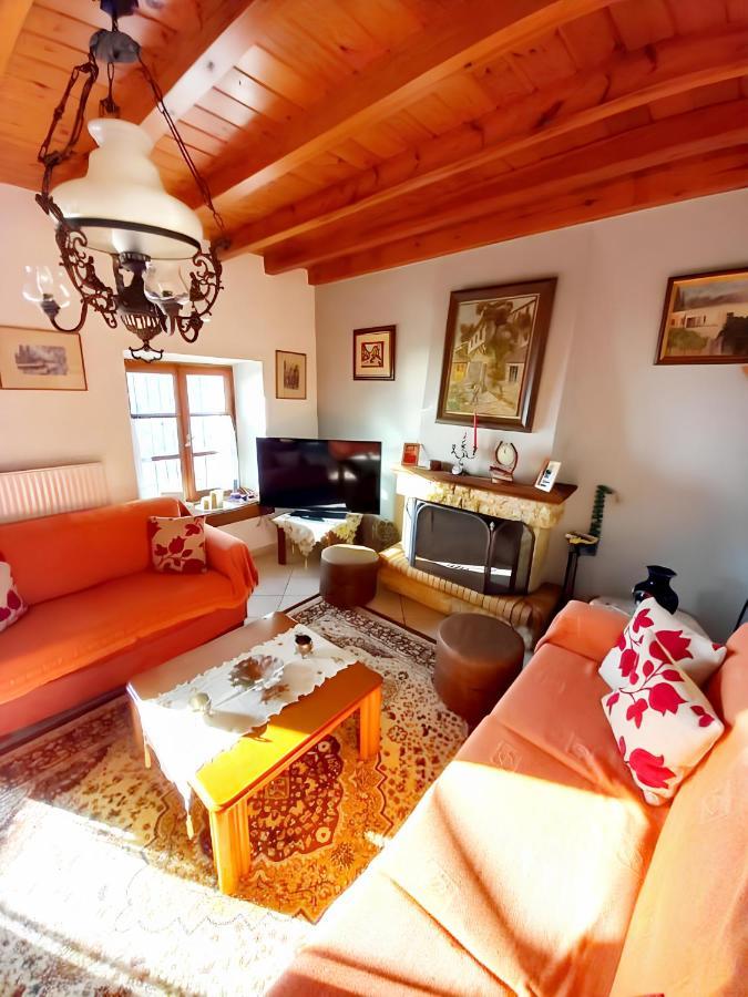Orizontas Pilio Villa 基索斯 外观 照片